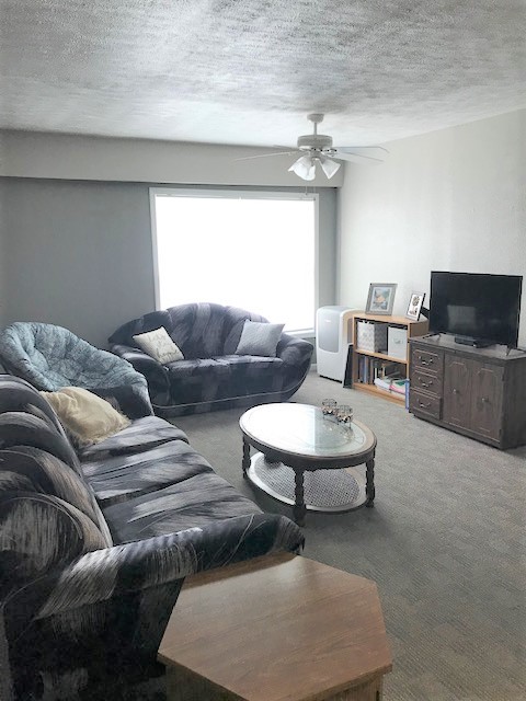311 Morrison St., Apt 12